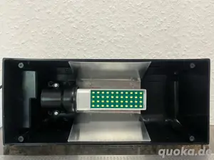 weibliche rote Tigervogelspinne (cyclosternum davus fasciatus) Bild 6