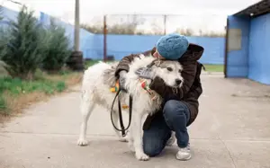 freundlicher Grappa wünscht sich eine eigene Familie Bild 10