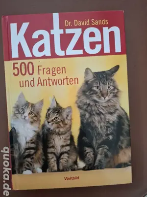 grosses Buch über Katzen 