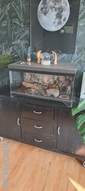 Terrarium Glas 80x40x40