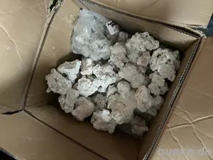 Meerwasser Aquarium Komplett Bild 3