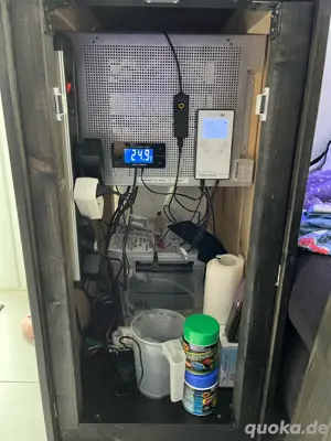 Meerwasser Aquarium Komplett Bild 9