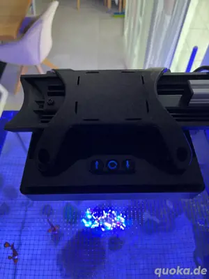 Meerwasser Aquarium Komplett Bild 7