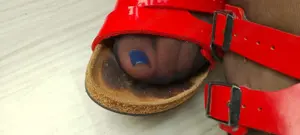 Gerne getragene Birkenstock Söckchen Socken Schuhe Slips mit Duft Bild 4