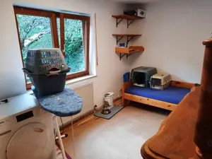 4 Zi.-Wohnung in Schramberg zu Vermieten Bild 6