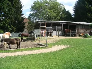 Paddockbox und Aussenbox mit täglich Weidegang