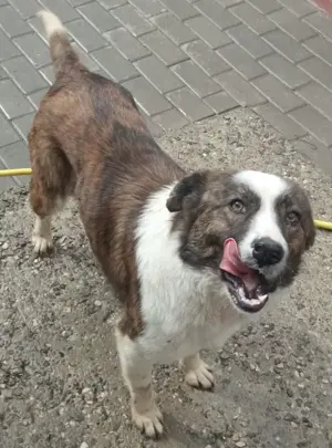 Vanessa, sucht Freunde für s Leben