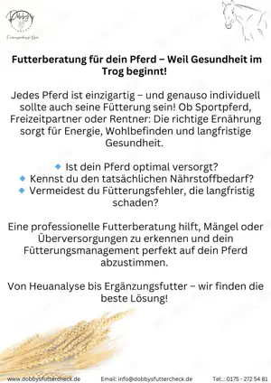 Ernährungsberatung für Pferde