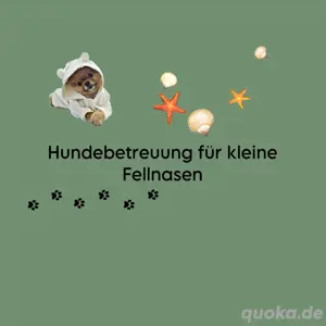 Hundebetreuung für kleine Fellnasen