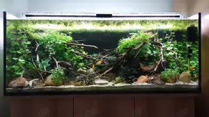 Aquarium 300 Liter 120x50x50 cm 120 cm