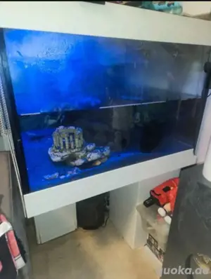 Aquarium mit unterschrank 