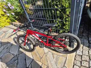 Mountainbike 20 Zoll, BH Expert