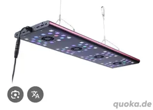 Evergrow Semigrow IT5012 LED