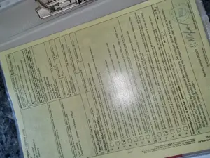 Isselburger Schildkröten, NZ 2025   Bild 5