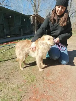 Gina sucht ein Zuhause