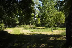 Großer schöner Garten 