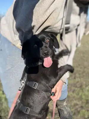 Mila Maus sucht Endstelle  Bild 5