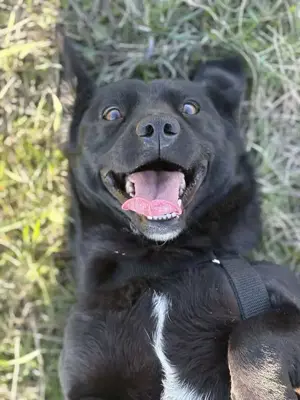 Mila Maus sucht Endstelle  Bild 2