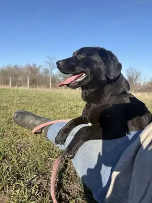 Mila Maus sucht Endstelle  Bild 3