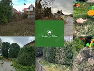 Heckenschnitt   Grüngut   Häckseln   Fällung Heckenschnitt   Rasenmähen   Wurzelstockfräsen