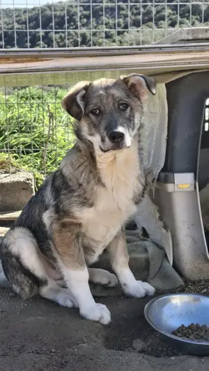 Felix so ein toller Kerl