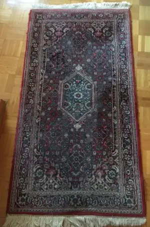Orientteppich Indo Bidjar