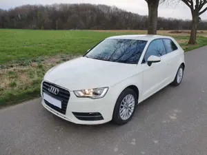 Audi A3 A3 1.6 TDI, sehr gepflegt, 1. Hd., nur 53 tkm