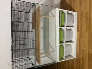 Rennmaus Kleintiergehege Terrarium Nagarium 