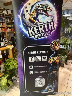 Kerth Reptiles  Bild 3