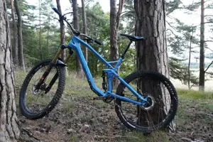 Canyon Strive CF 8 Custom