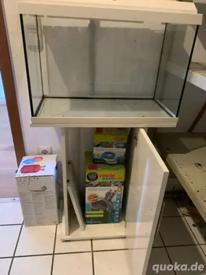 aquarium mit allem dabei 