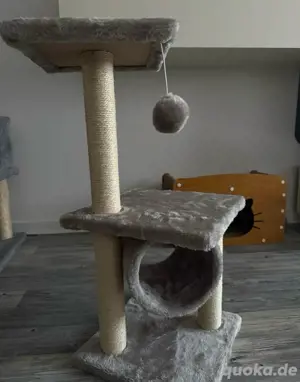 Kratzbaum - Kitten