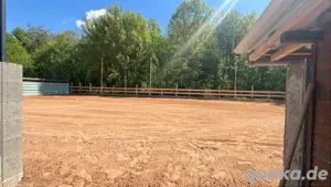 Reitbeteiligung zu verschenken 