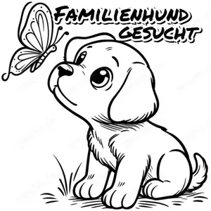 Familienhund gesucht (Thüringen)