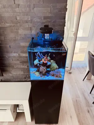 Meerwasser Aquarium Auflösung