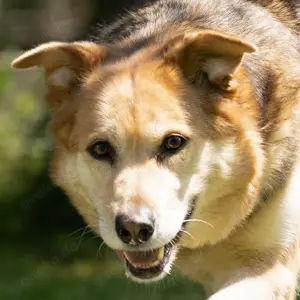 Ines - Bezaubernde Menschenfreundin 