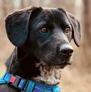 Enia - Eine wahre Schönheit von Innen & Außen
