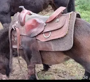 westernsattel unbekannte Marke