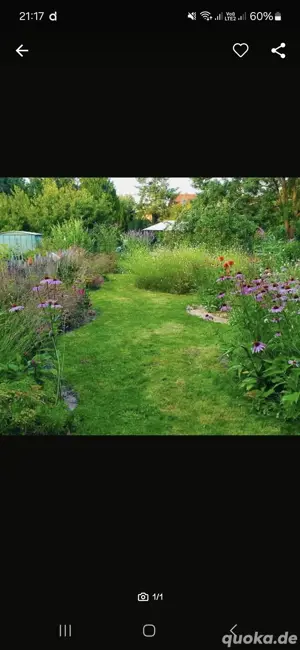 suche Garten Freizeitgrundstück 