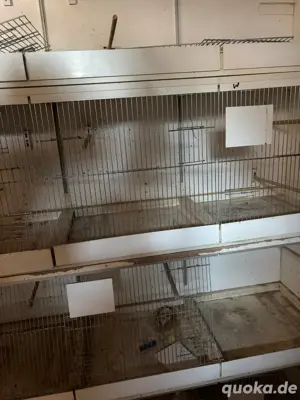 Zuchtboxen mit zubehör Bild 4