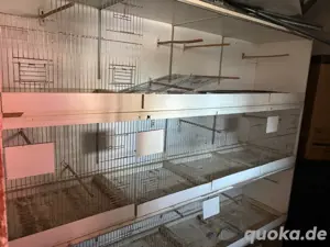 Zuchtboxen mit zubehör