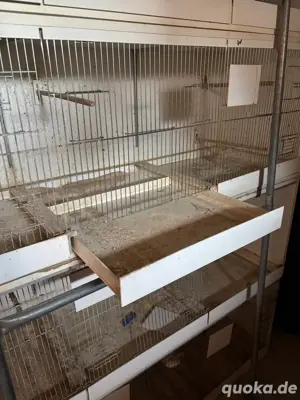 Zuchtboxen mit zubehör Bild 2