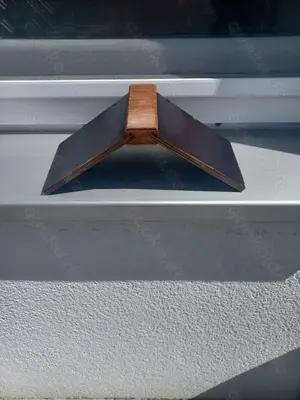 Goldhamster Babys Bild 10