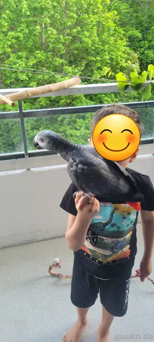 Hallo zusammen! Ich suche eine weibliche 