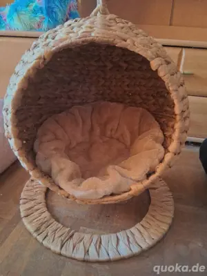 katzen hunde schaukel 