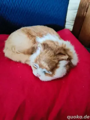 Dekorative Kunsthaar Figuren