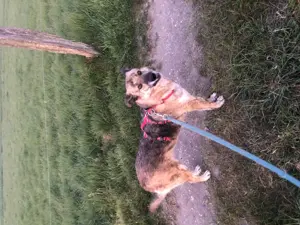 Immer freundliche nita 