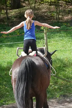 Reitbeteiligung und    oder Pflegebeteiligung zu vergeben , voltigieren Bild 3