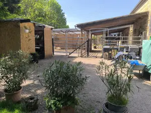 Einen Platz frei im  Offenstall   Paddockbox  Box