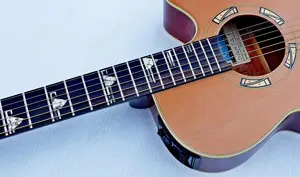 Takamine Santa Fe PSF-94